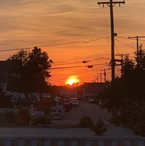 Meet your Posher, Bella